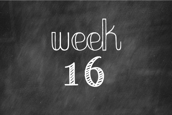 week16