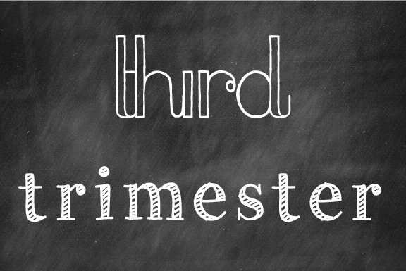 Week 27: Third Trimester!